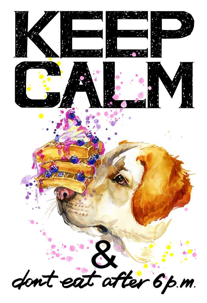 картина-постер Черничный торт на носу у собаки среди надписи "keep calm and don't eat after 6 p.m."