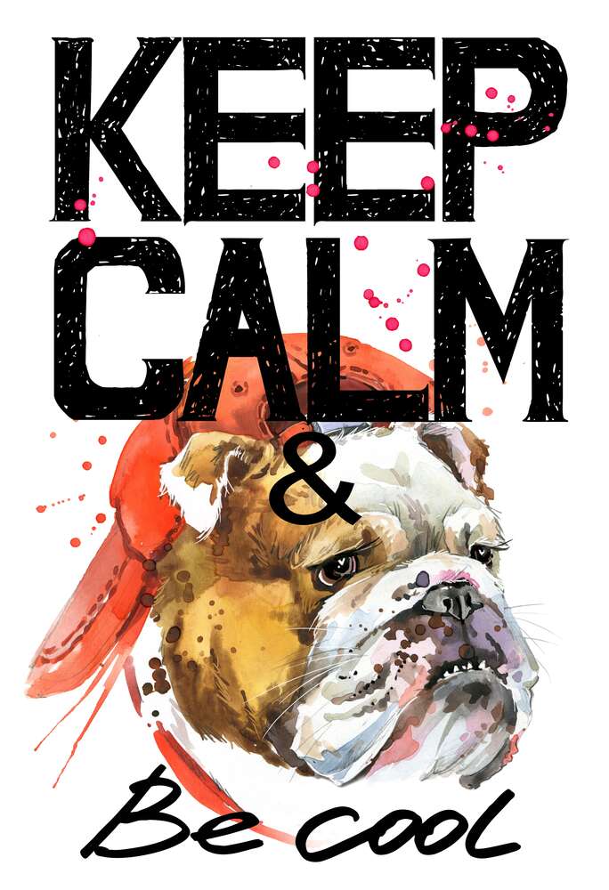 картина-постер Бульдог в красной кепке среди надписи "keep calm and be cool"