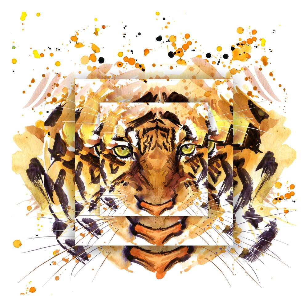 картина-постер Погляд тигра віддаляється