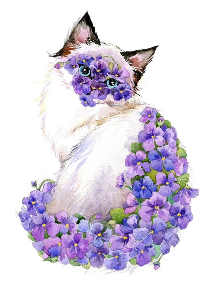 картина-постер Сіамська кішка уквітчана килимом фіалок