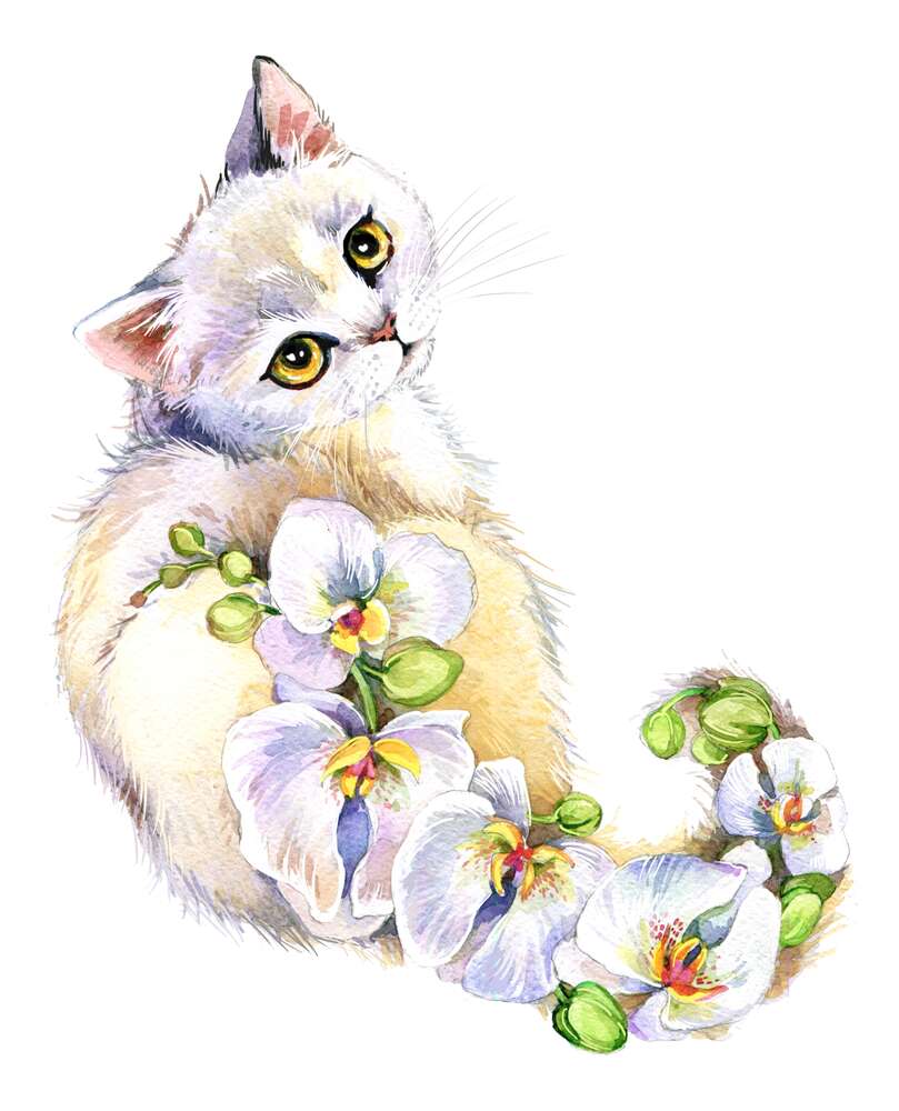 картина-постер Орхідейний хвіст білої кішки