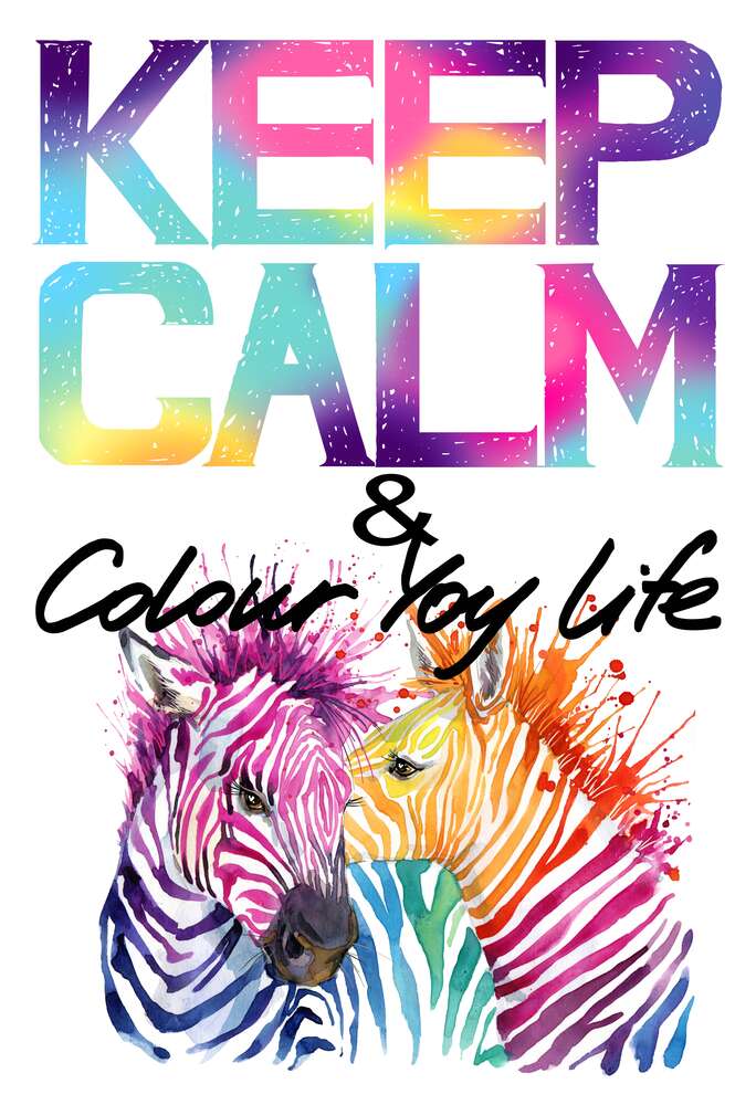 картина-постер Яскраві зебри під написом "keep calm and colour your life"