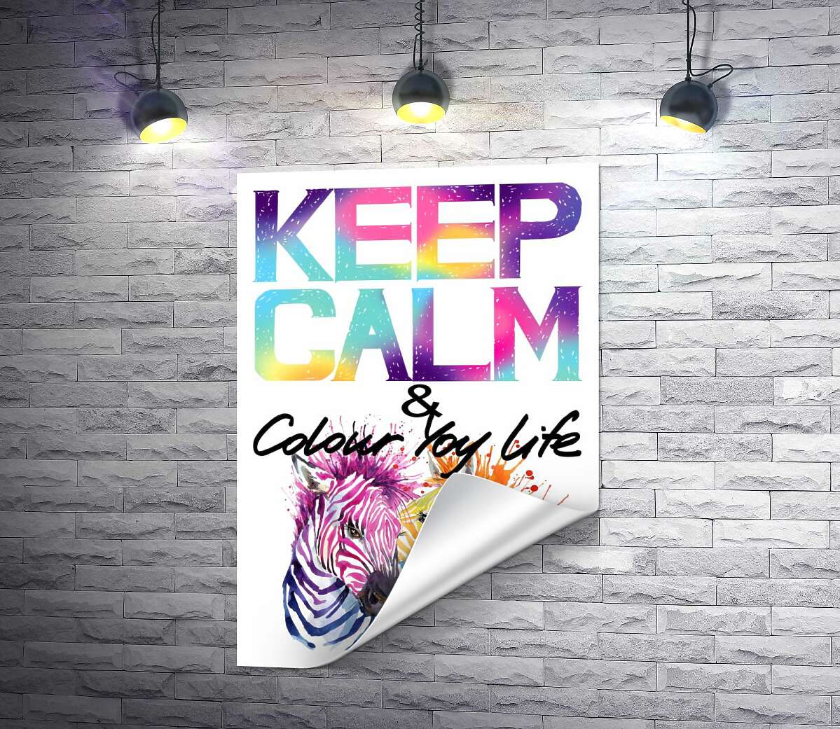 печать Яркие зебры под надписью "keep calm and colour your life"