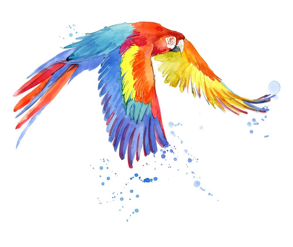 картина-постер Попугай ара раскрыл крылья в полете
