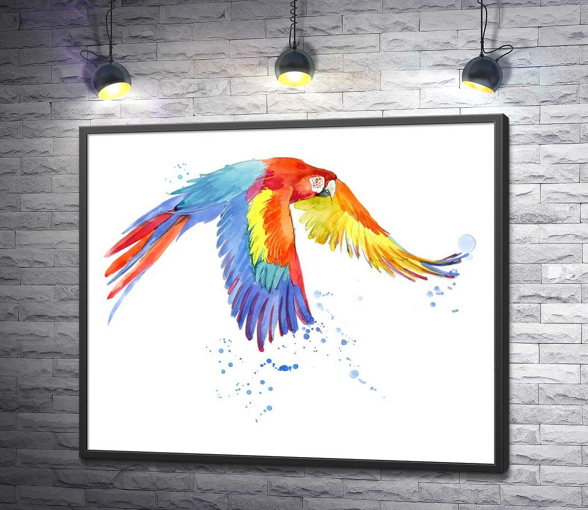 постер Папуга ара розкрив крила в польоті