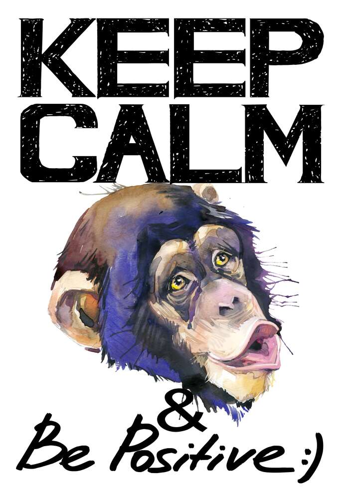 картина-постер Мордочка обезьяны среди надписи "keep calm and be positive"