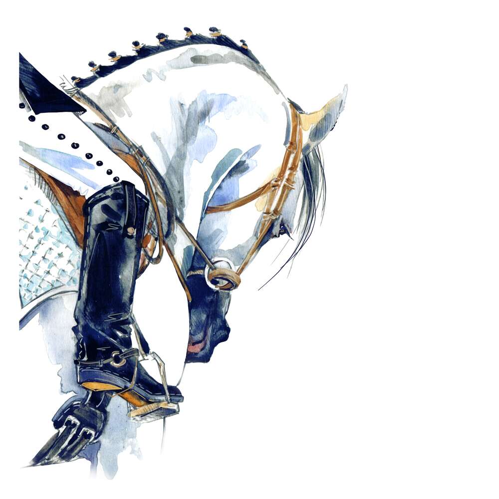 картина-постер Всадник на белом коне
