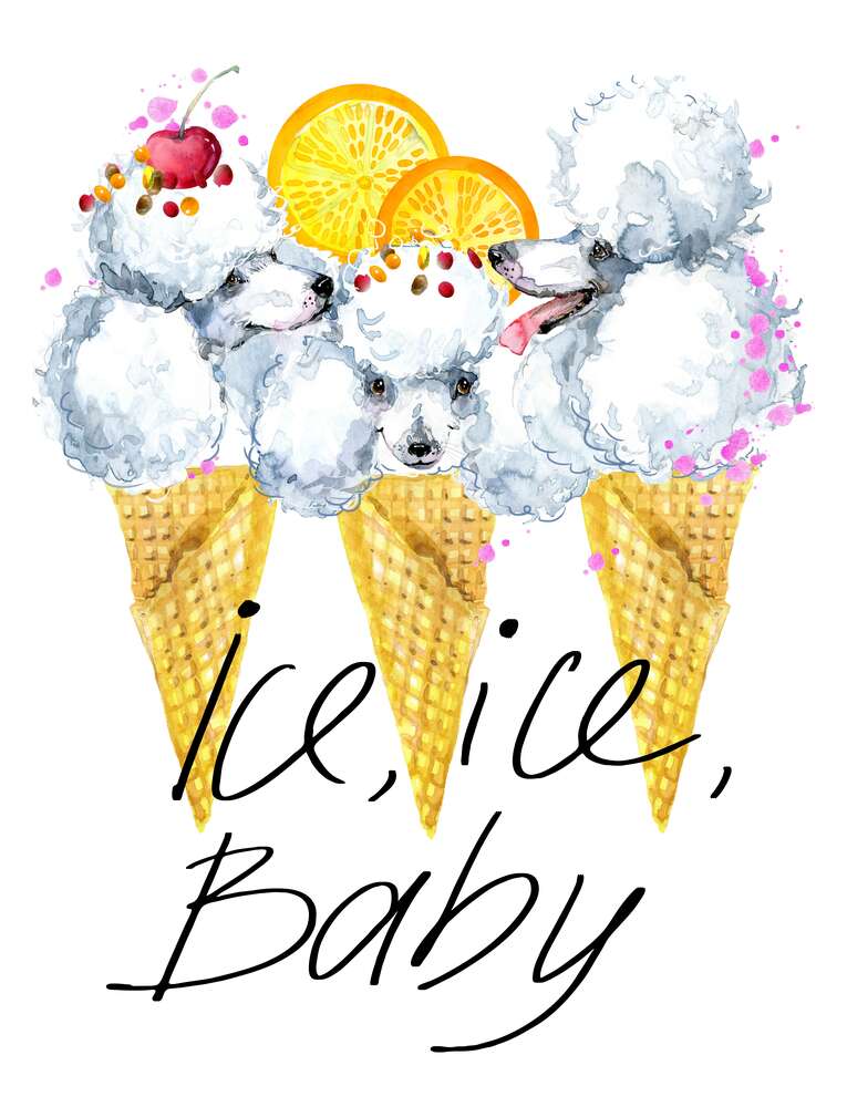 картина-постер Белые пушистые пудели в рожках мороженого с надписью "ice, ice, baby"