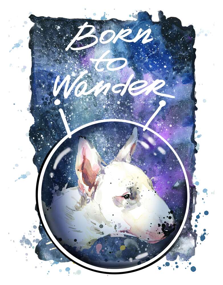 картина-постер Белый бультерьер в шлеме космонавта под надписью "born to wander"