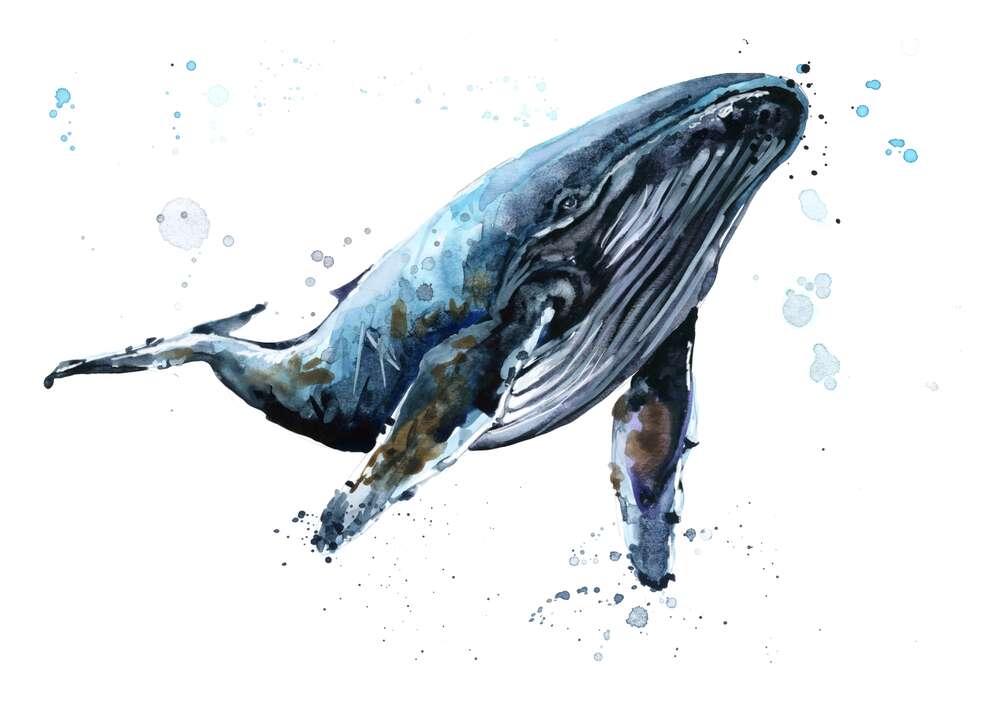 картина-постер Темный силуэт кита