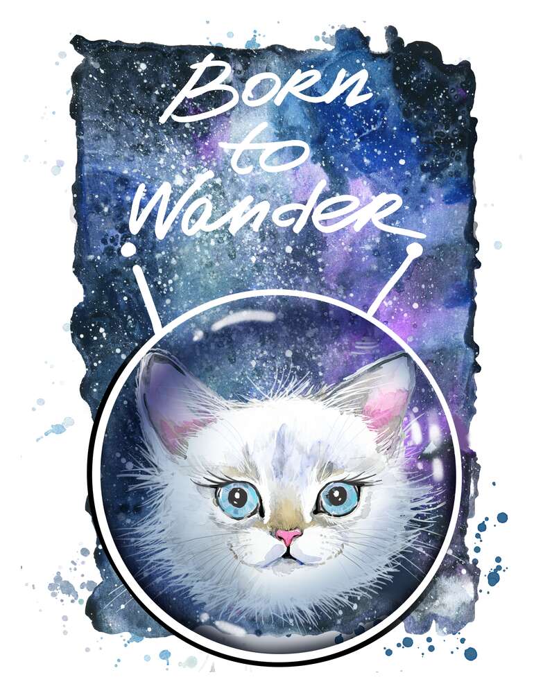 картина-постер Белая кошечка в космическом шлеме под надписью "born to wander"
