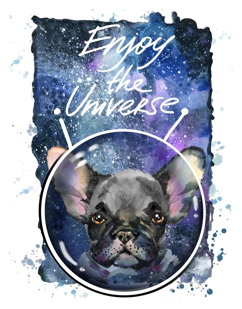 картина-постер Чорний французький бульдог серед космічного простору з написом " Enjoy the Universe"