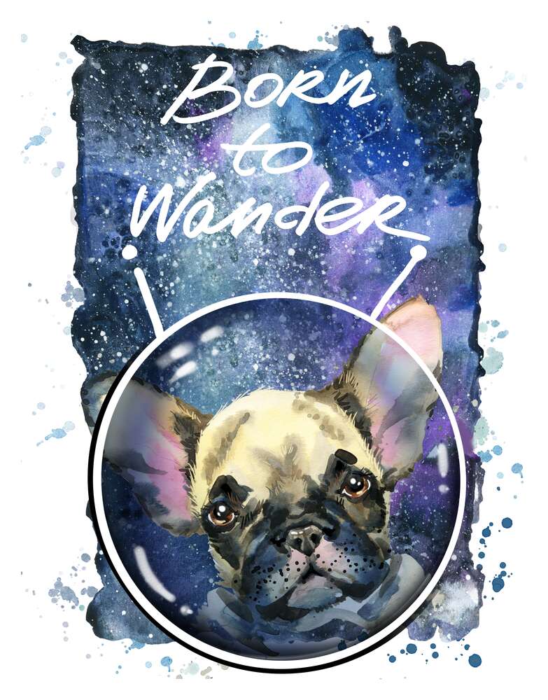 картина-постер Ушастый бульдог среди космоса с надписью "born to wander"