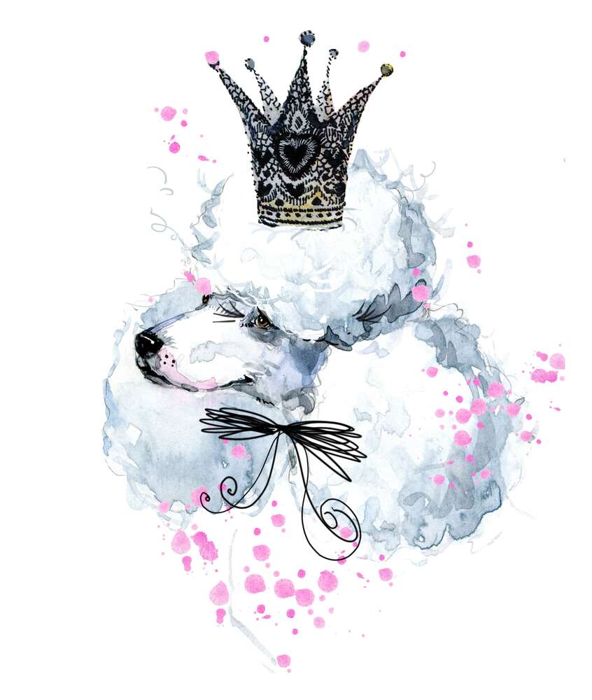 картина-постер Элегантный пудель с ажурной короной на голове
