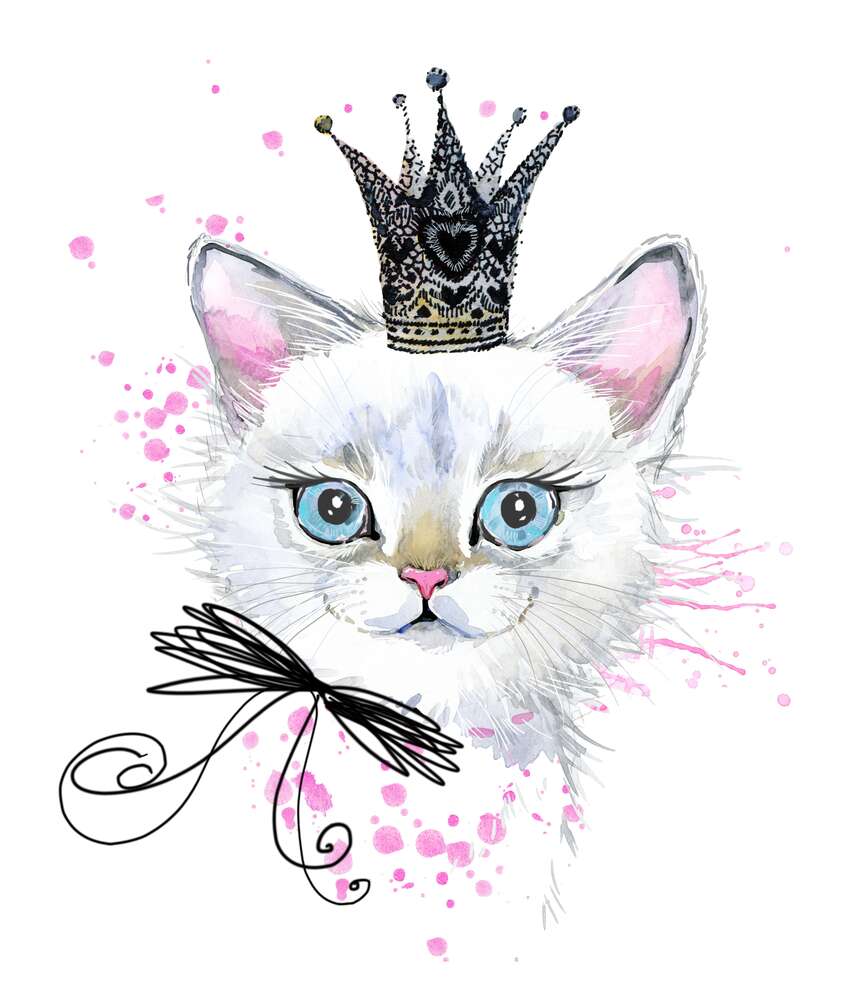 картина-постер Взгляд голубых глаз белой кошечки-принцессы