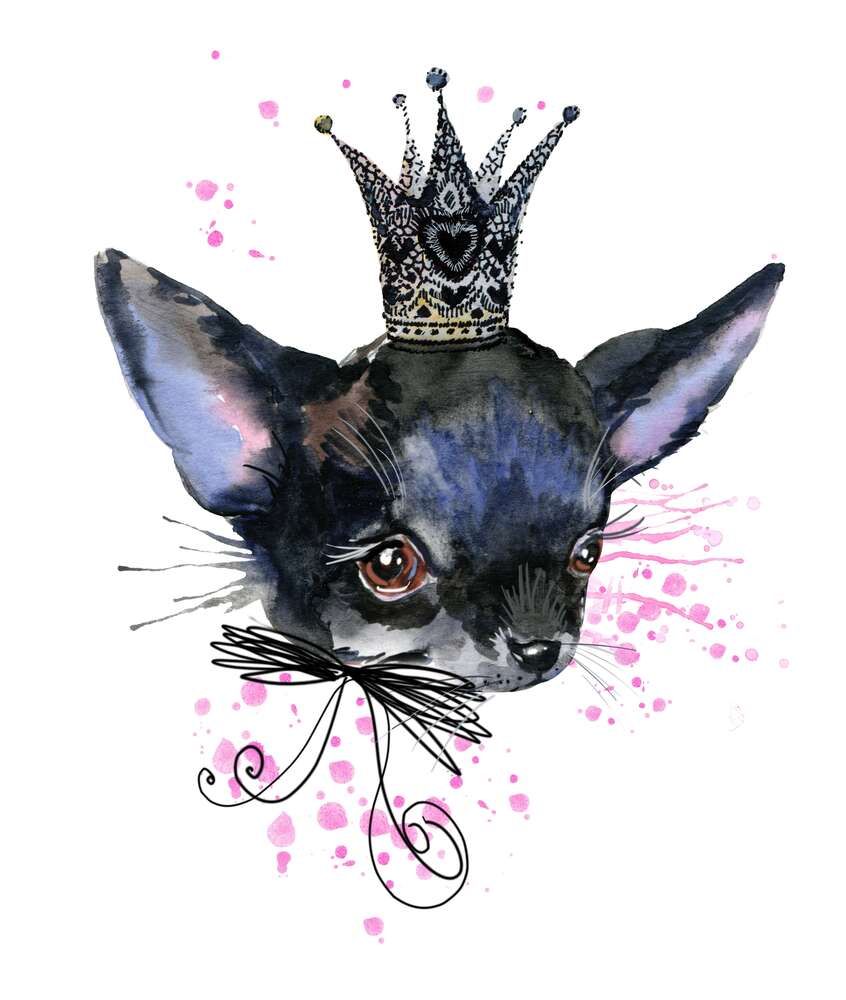 картина-постер Маленькая мордочка черного чихуахуа в короне