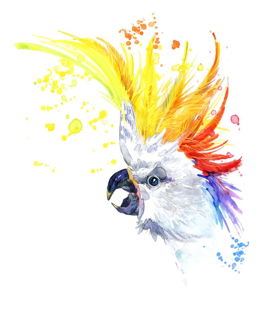 картина-постер Попугай какаду с цветной челкой