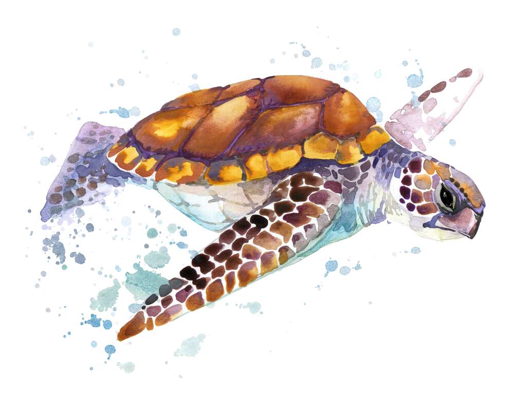 картина-постер Морская черепаха спокойно плывет мимо