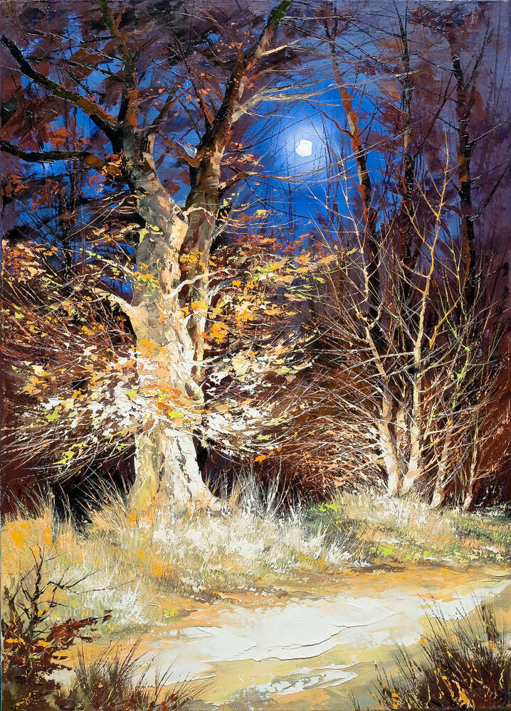 картина-постер Ночная лесная тропа в лучах света