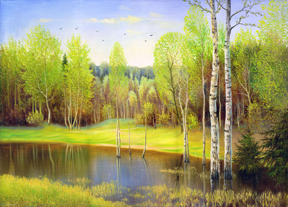 картина-постер Тонкі стовбури беріз ростуть в болотистій воді
