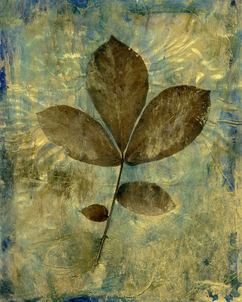 картина-постер Вінтажний силует тонкого листка