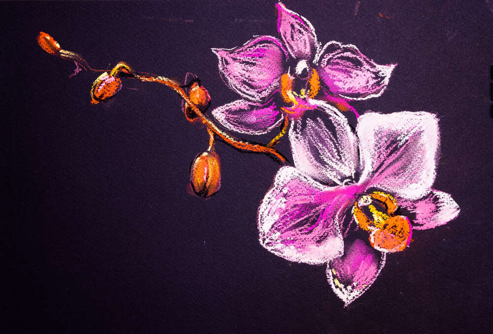картина-постер Нежная ветвь орхидеи тянется вверх