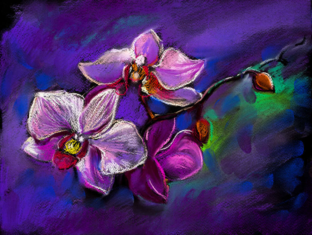 картина-постер Гілка бузкової орхідеї на фіолетовому фоні