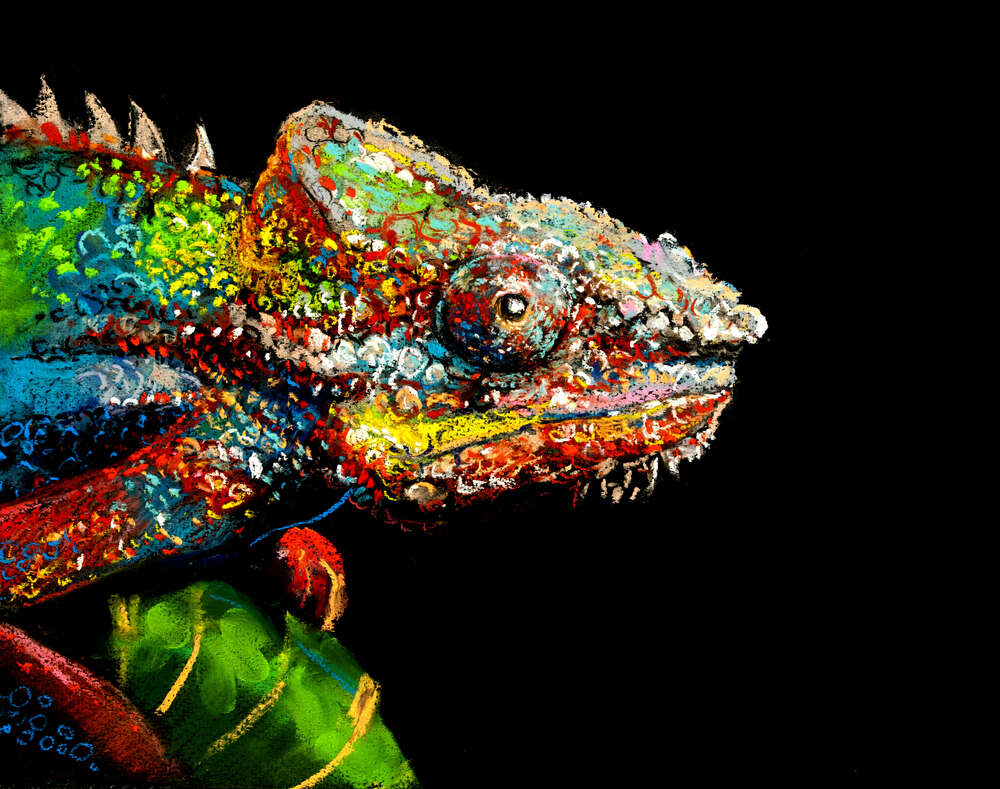 картина-постер Яркие оттенки окраски хамелеона