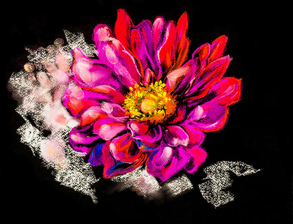картина-постер Яскраві пелюстки рожевої квітки жоржини