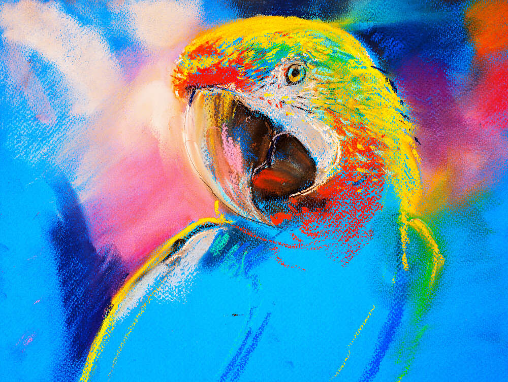 картина-постер Голубая яркость оперения попугая ара