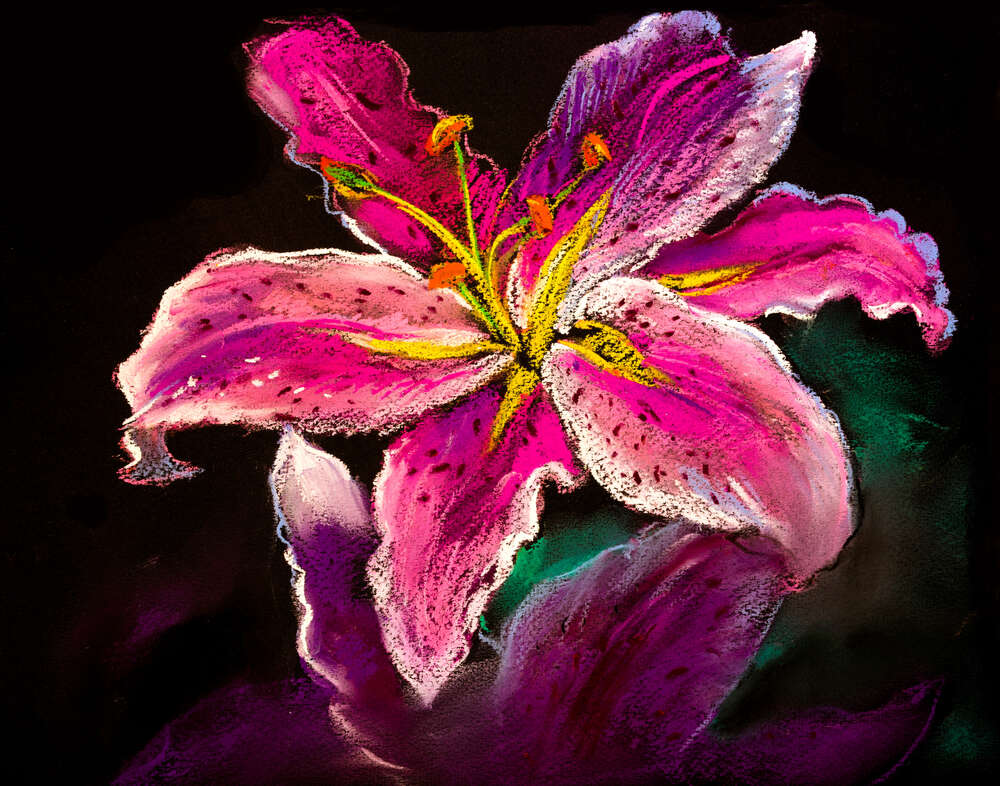 картина-постер Розовый оттенок лепестков тигровой лилии