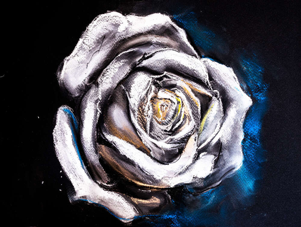 картина-постер Сірі відтінки білих пелюсток троянди