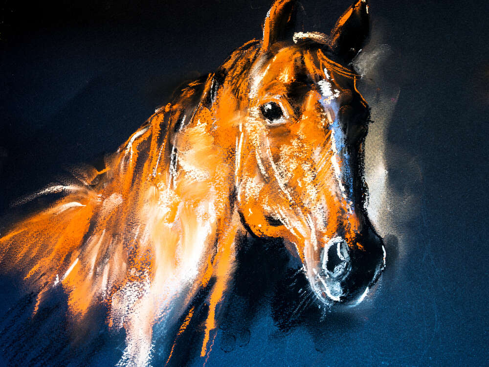 картина-постер Силуэт гнедой лошади на синем фоне