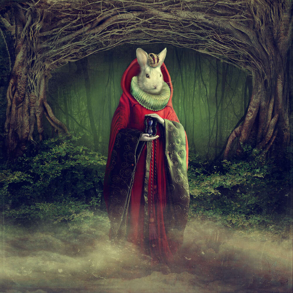 картина-постер Король кролик стоит среди туманного леса