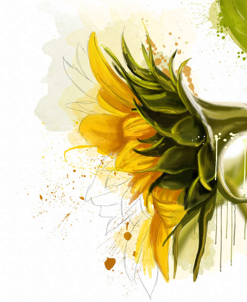 картина-постер Нежная головка цветка подсолнечника