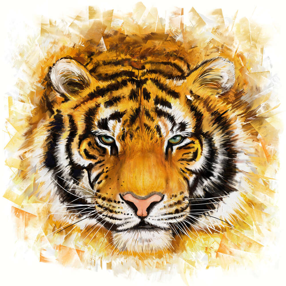 картина-постер Пушистая морда тигра