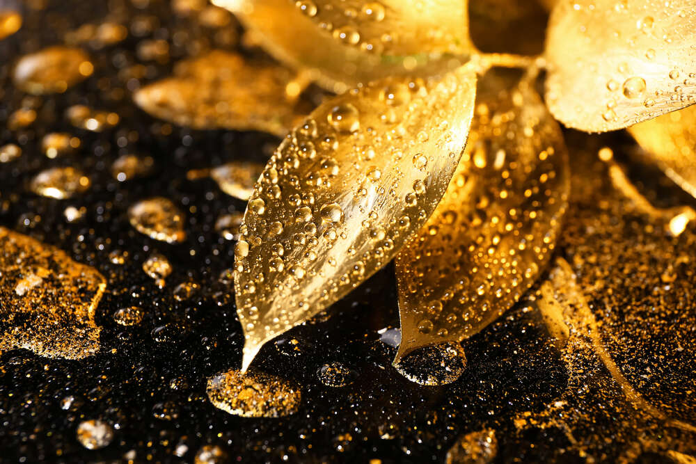 картина-постер Золоті краплі роси падають із листя
