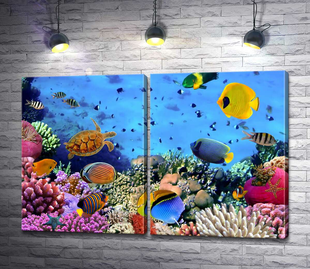 модульная картина Богатый подводный мир кораллов и рыб