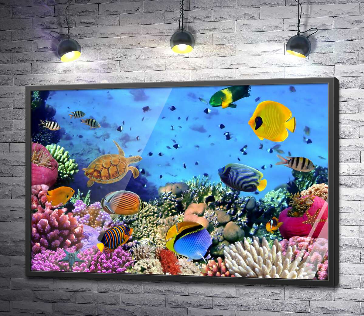 постер Богатый подводный мир кораллов и рыб