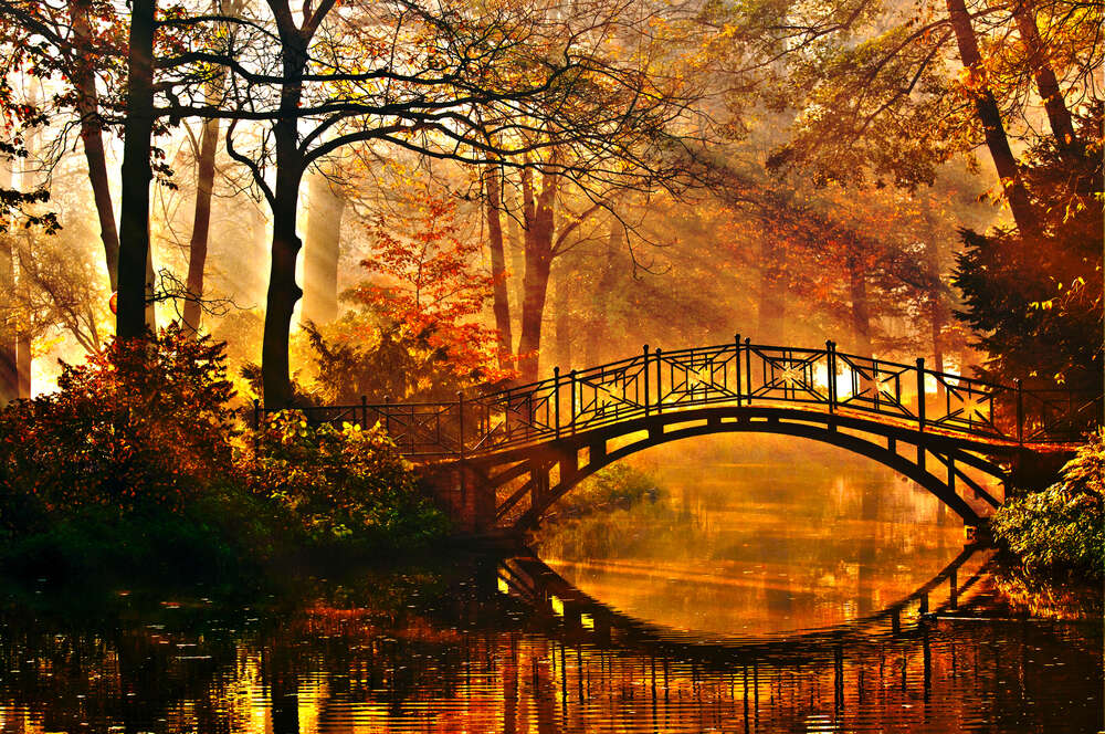 картина-постер Изысканный мост соединяет берега в осеннем лесу