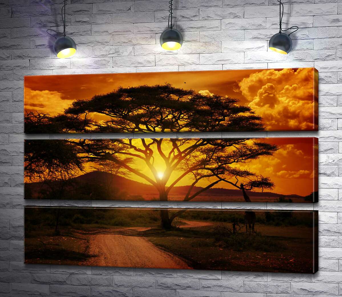 модульна картина Гарячі промені сонця світять крізь гіллясту акацію (Модуль №15)