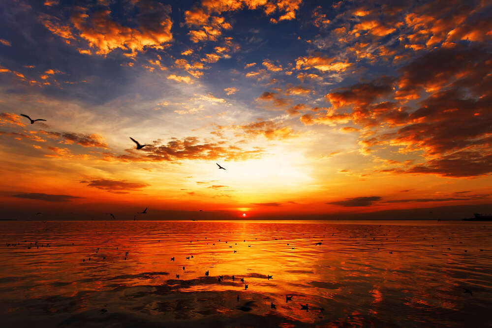 картина-постер Желтые солнечные лучи прокладывают путь через янтарные воды озера