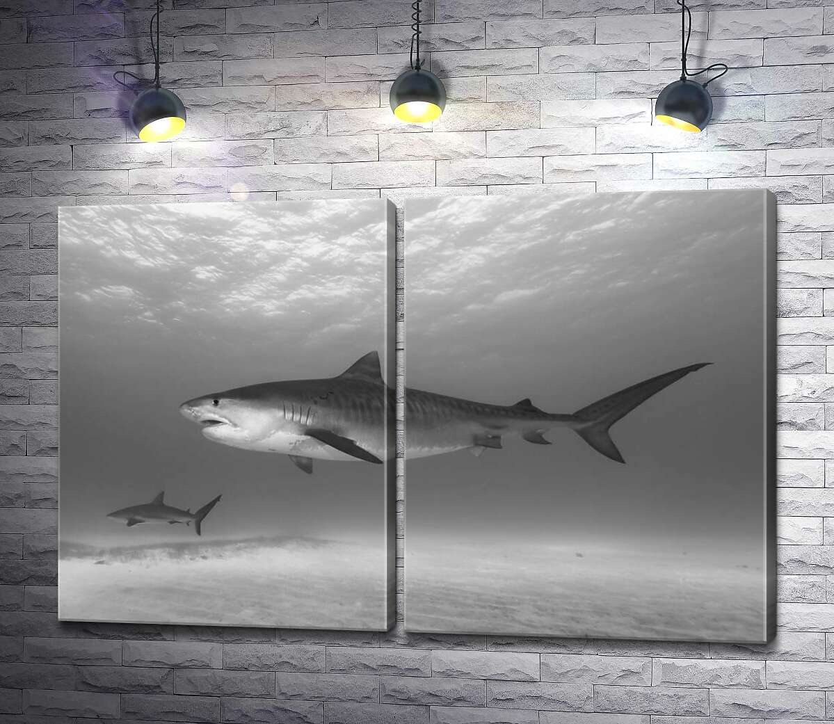 модульна картина Тигрові акули в пошуках здобичі