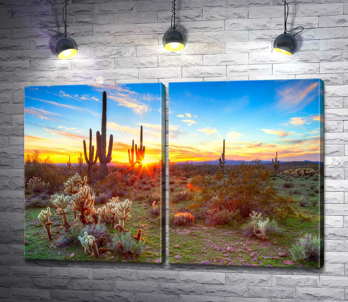 модульна картина Захід сонця серед кактусів в пустелі