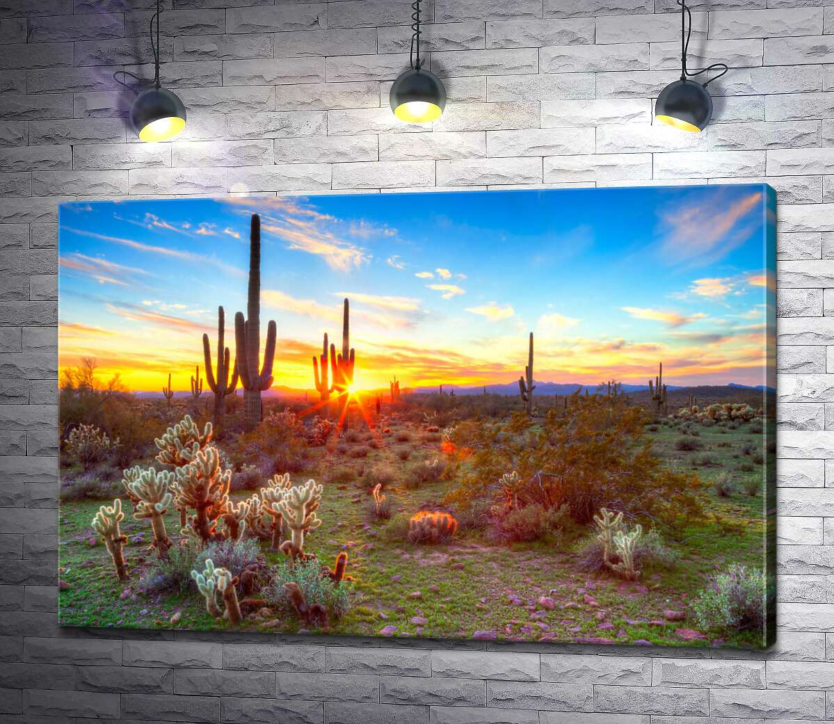 картина Захід сонця серед кактусів в пустелі