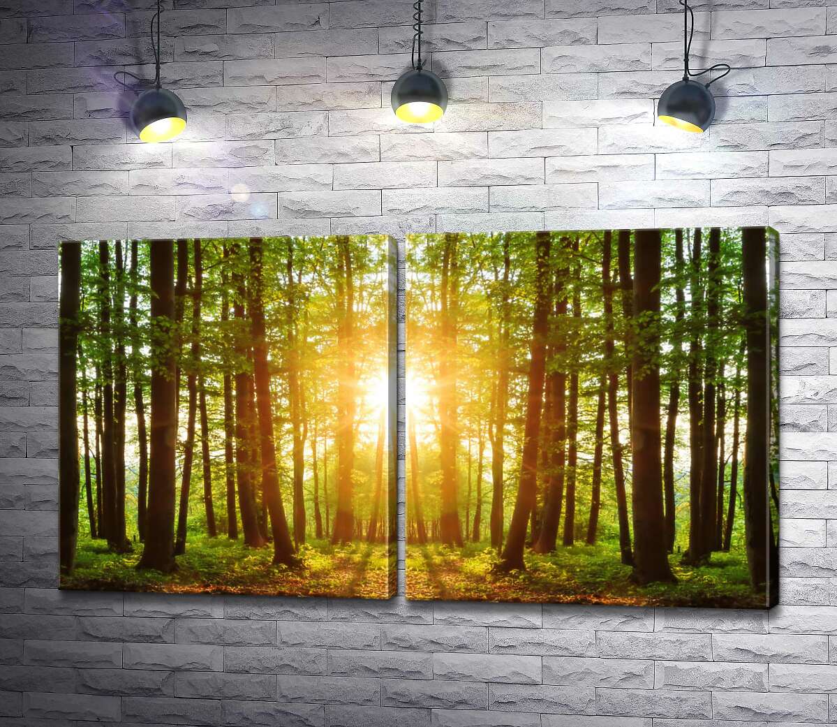 модульная картина Стройные лесные деревья освещены солнечными лучами