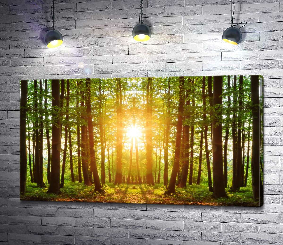 картина Стройные лесные деревья освещены солнечными лучами