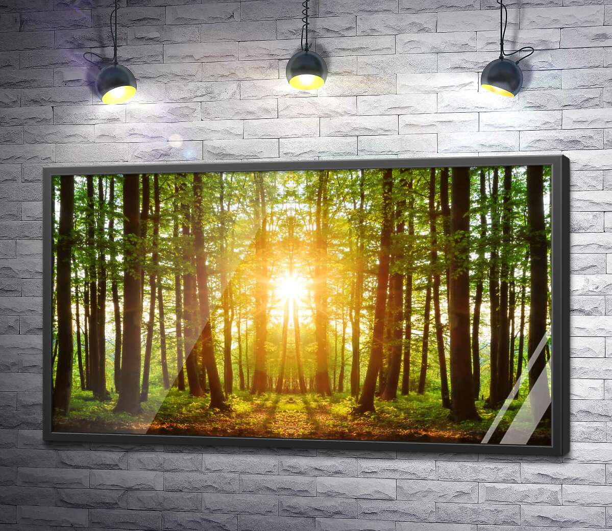 постер Стройные лесные деревья освещены солнечными лучами