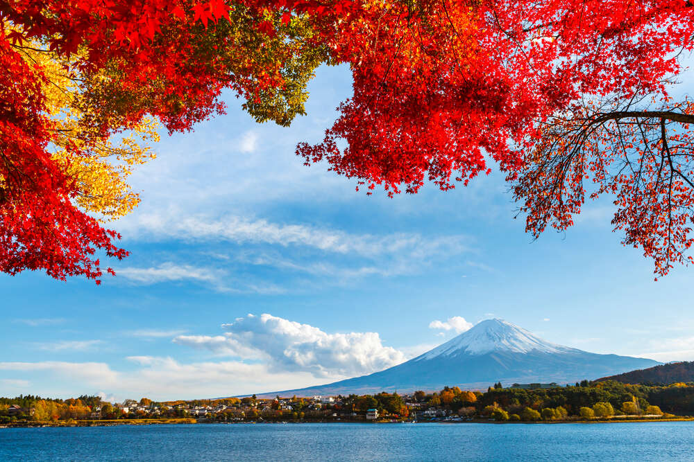 картина-постер Вид на гору Фудзи (Mount Fuji) из тени осенних деревьев