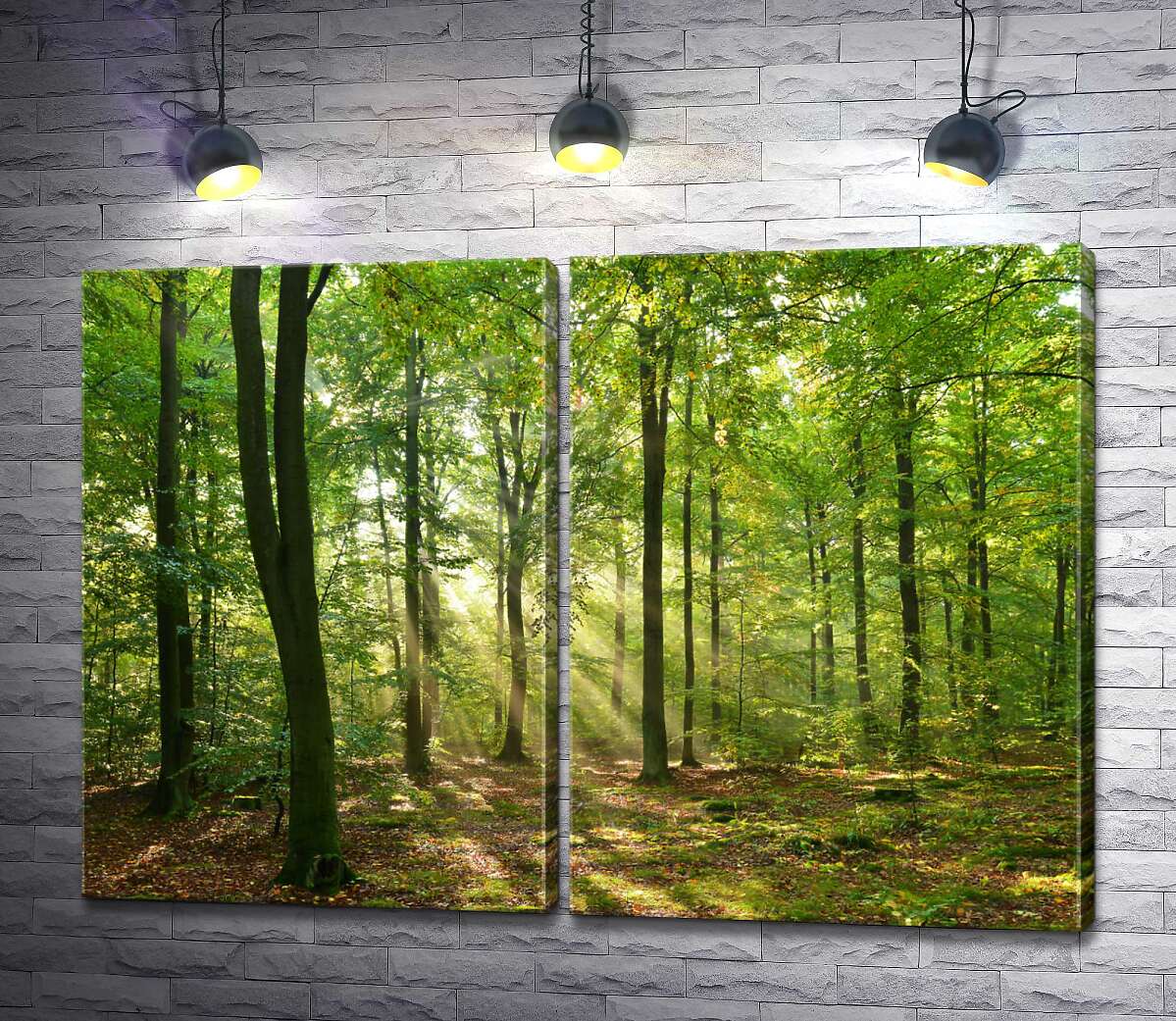 модульная картина Летний день в тени лесных деревьев